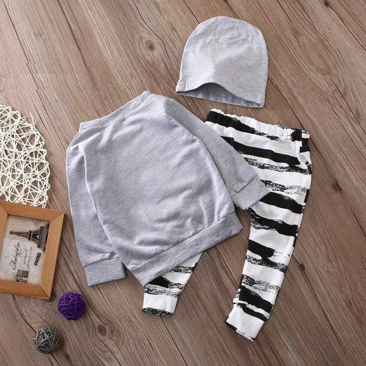 Sunny Baby Spring Autumn Toddler Boys Clothing Set.